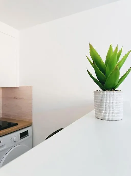 Apartment Le Studio - Cocon Scandinave - Parking Gratuit Pont-de-Veyle